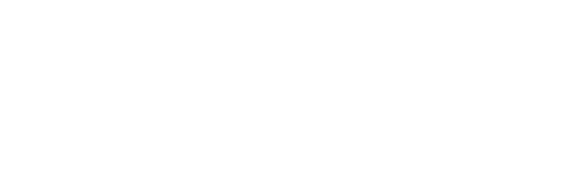 Arnold Conference
